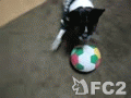 動画:big ball